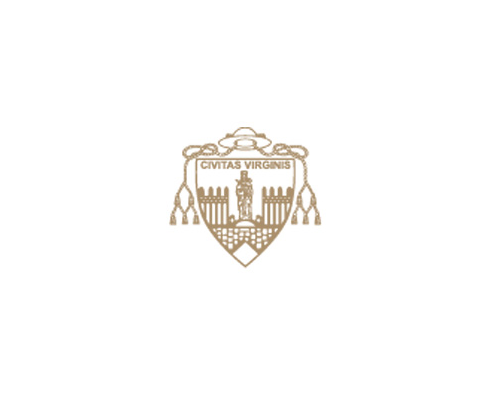 Diocese do Porto